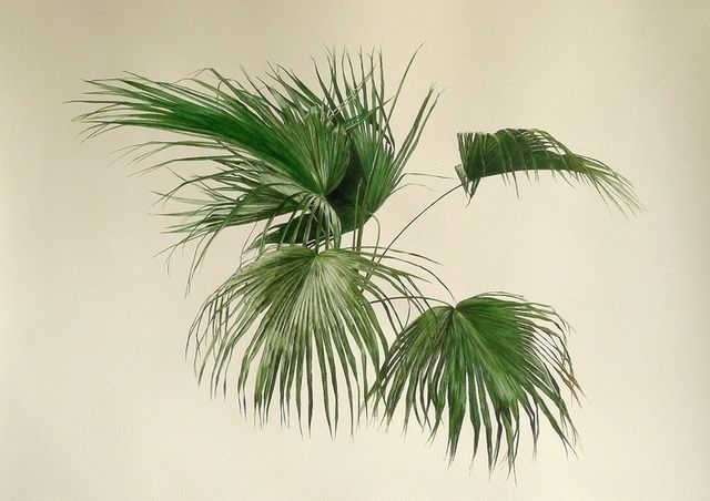 Ху Юн (Hu Yun). Без названия, 2013, акварель